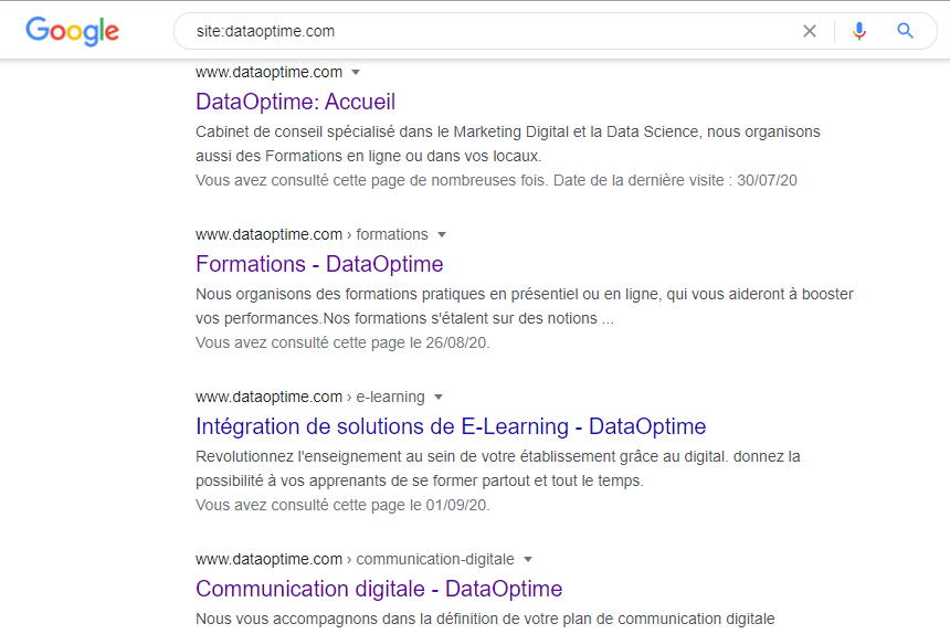 exemple de pages referencees google