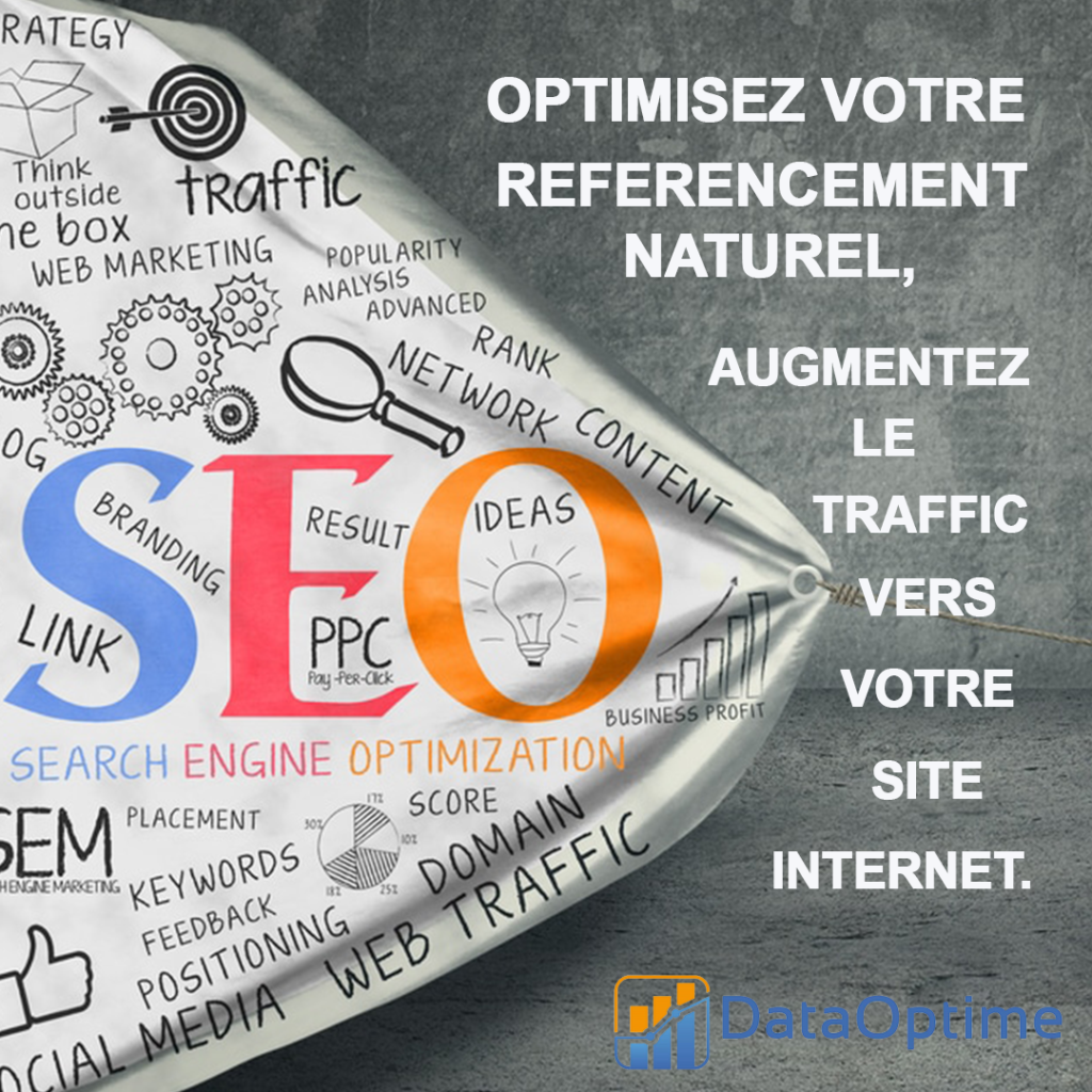 dataoptime-cameroun-5-raisons-d-investir-dans-le-seo-au-cameroun